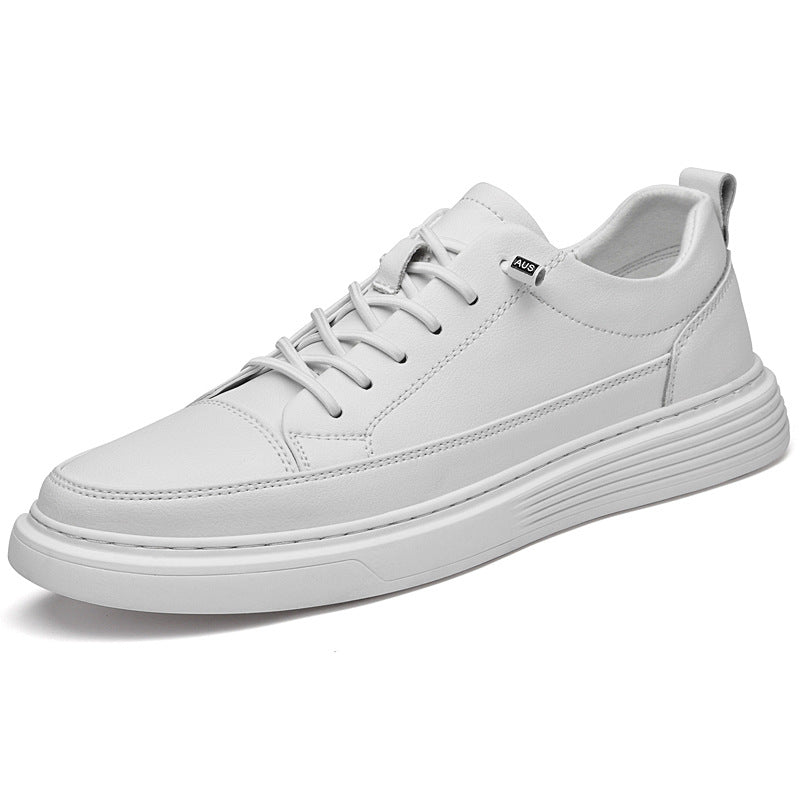 Student Low-Top Sneakers for Comfort and Versatility | EnigmaParis