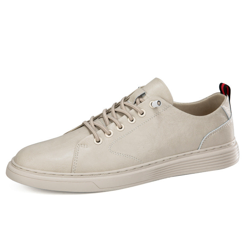 Student Low-Top Sneakers for Comfort and Versatility | EnigmaParis