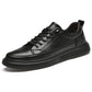 Student Low-Top Sneakers for Comfort and Versatility | EnigmaParis