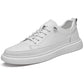 Student Low-Top Sneakers for Comfort and Versatility | EnigmaParis