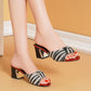 Sandals Thick Heel Flip-flops Summer Net Red Women's Shoes
