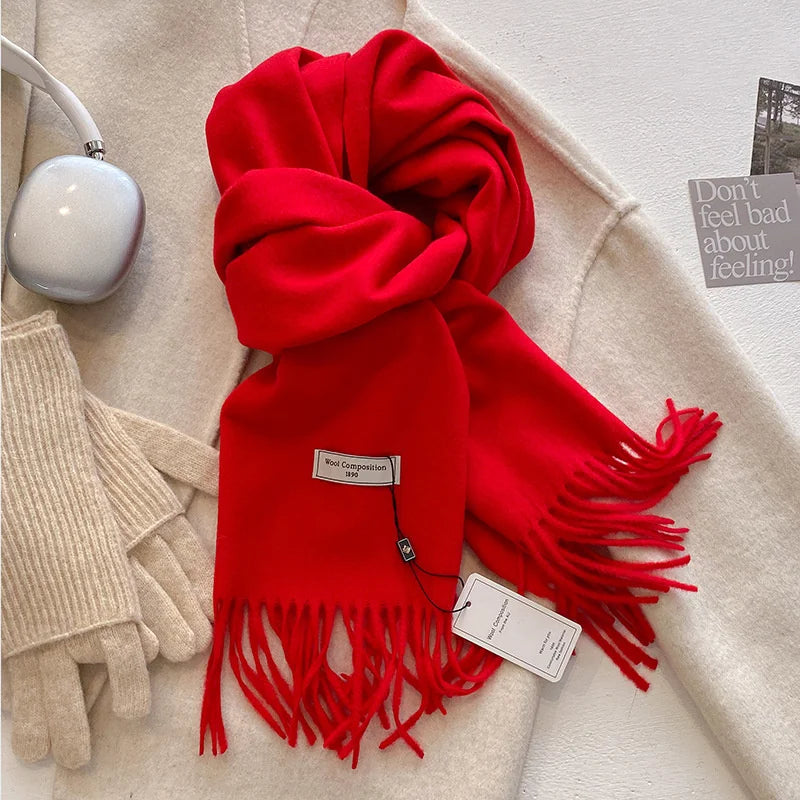 2024 Womens Winter Wool Scarf | Long Cashmere Shawl & Pashmina Wrap | EnigmaParis