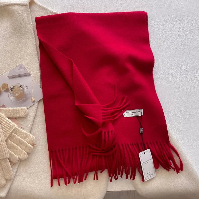 2024 Womens Winter Wool Scarf | Long Cashmere Shawl & Pashmina Wrap | EnigmaParis