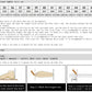 Women Sneakers Shoes