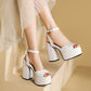 Women's Plus Size Chunky Heel High Heel Sandals.